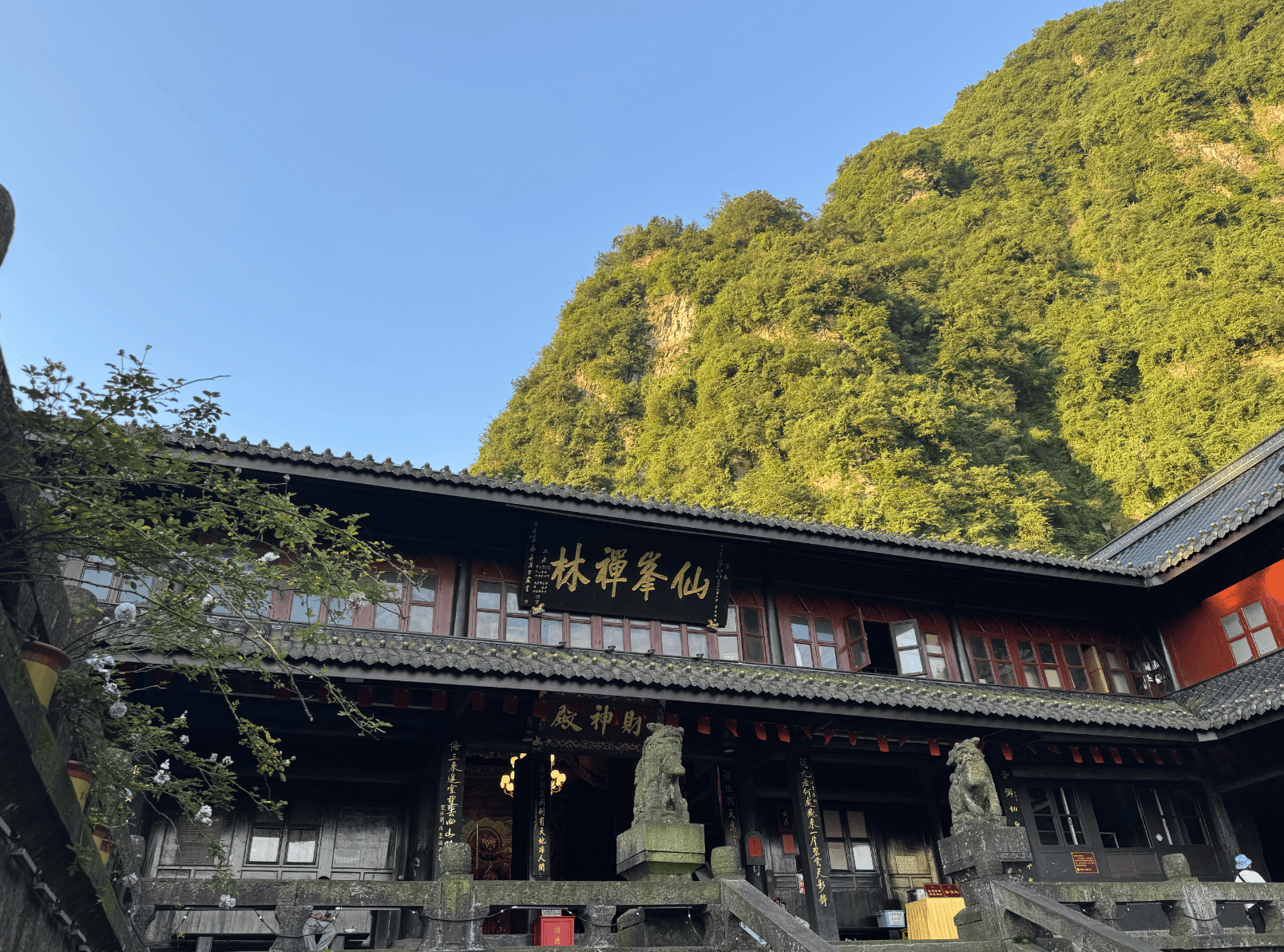 文章配图-1