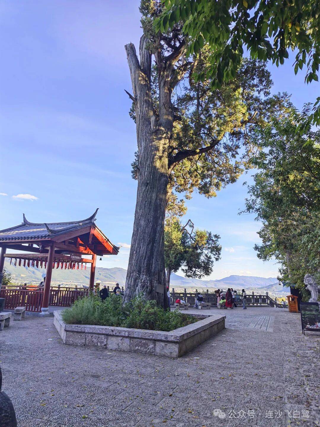 文章配图-1